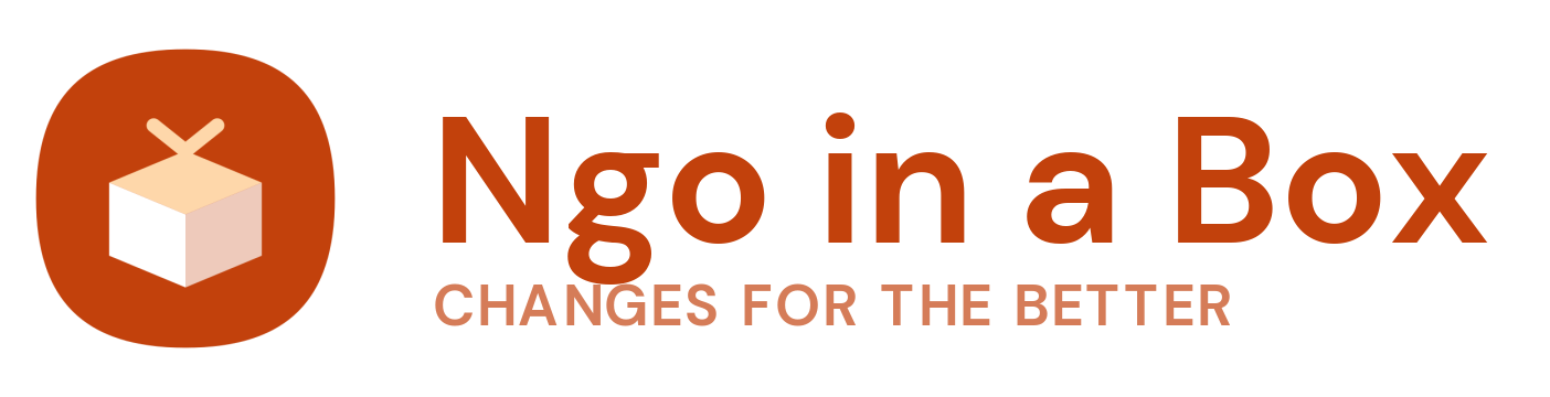 Ngo In A Box